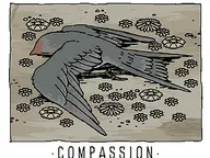 Compassion cover