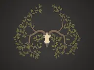 Antlers cover